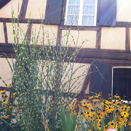 Chambres D'Hotes La Stoob Strasbourg Sud Illkirch-Graffenstaden Εξωτερικό φωτογραφία